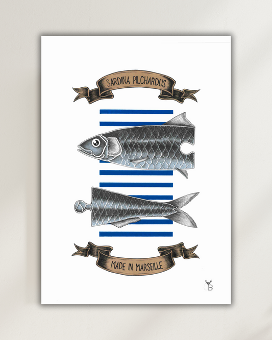 Sardina Pilchardus - Made in Marseille